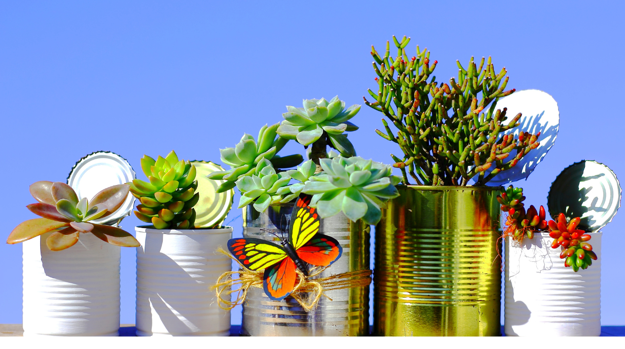 Histoire de Deep Recycling Solutions